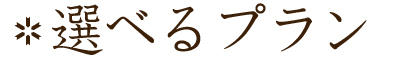 選べるプラン